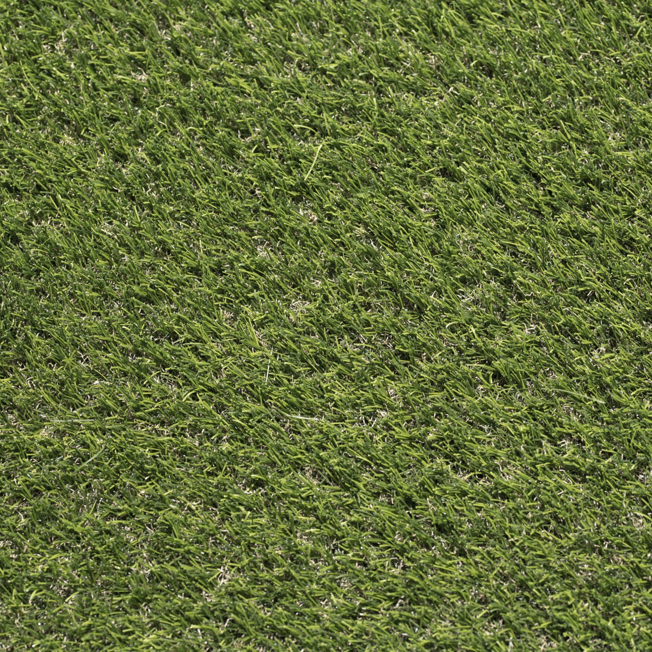 MSI Introduces EverGrass™ Turf, The Ultimate Worry-Free Grass